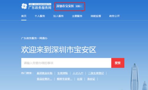 深圳寶安區 房屋編碼一鍵可查，民生實事再添新通道